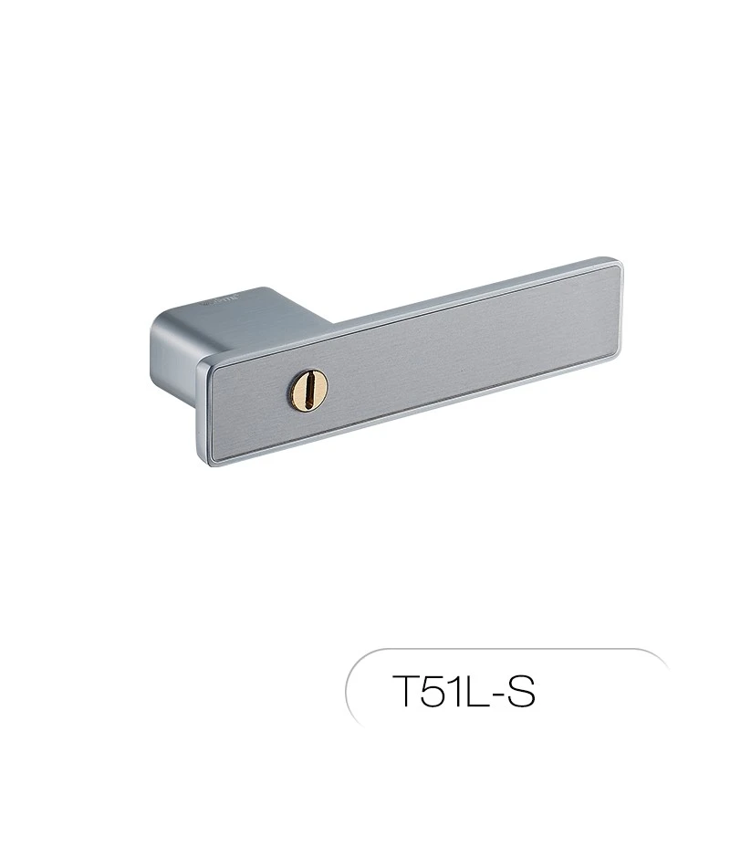 T51 (4)